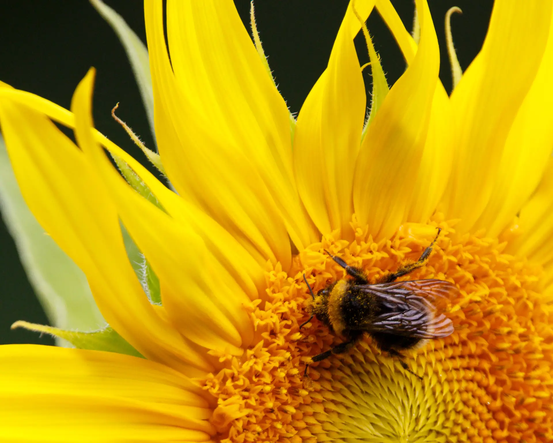 5d3 1971 enhanced sr