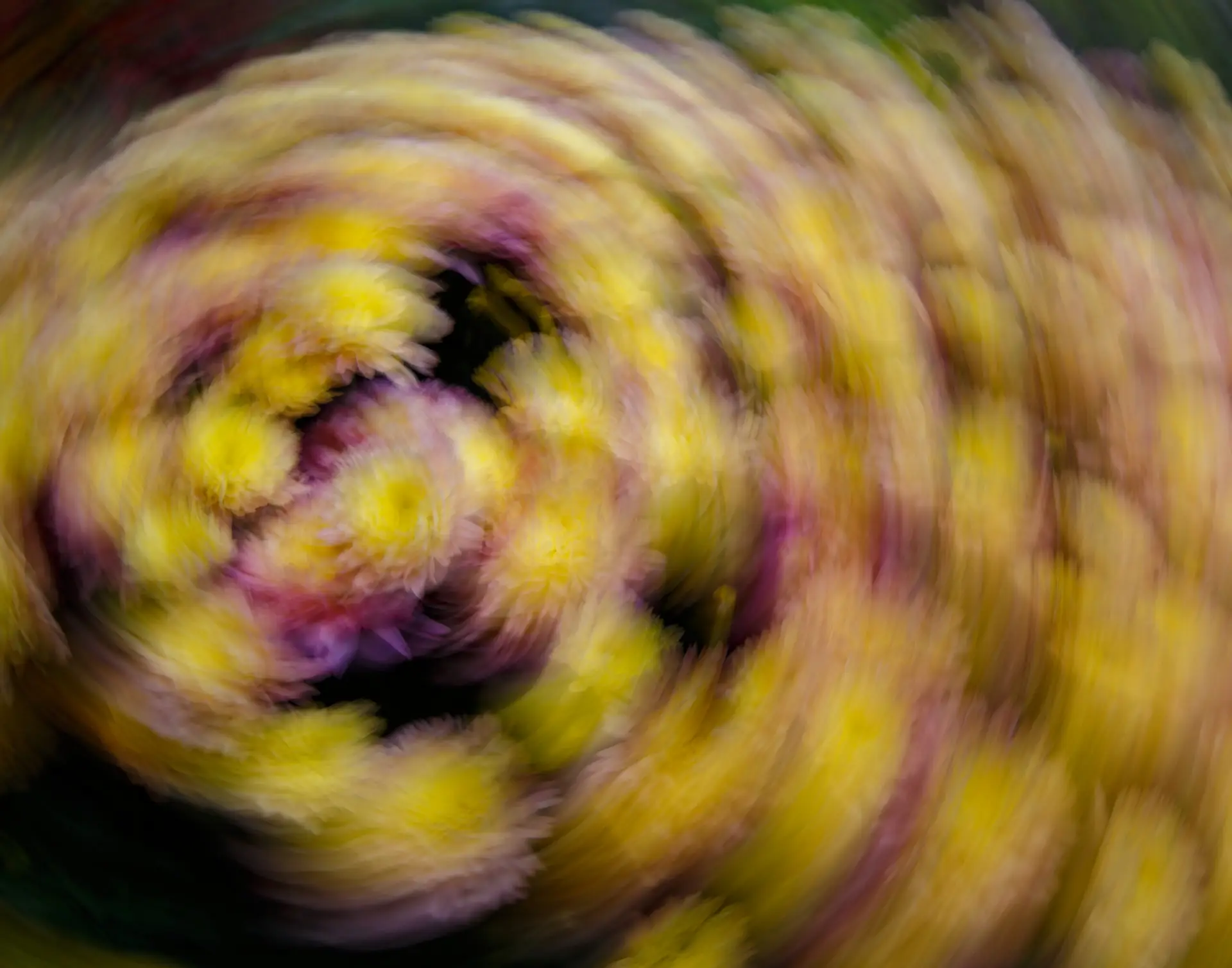 5d3 4519 enhanced nr